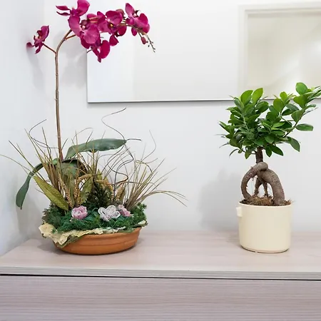 Appartement Monolocale Sguizzette *